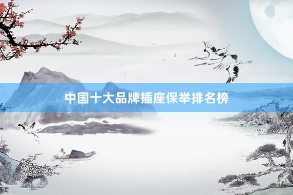 中国十大品牌插座保举排名榜