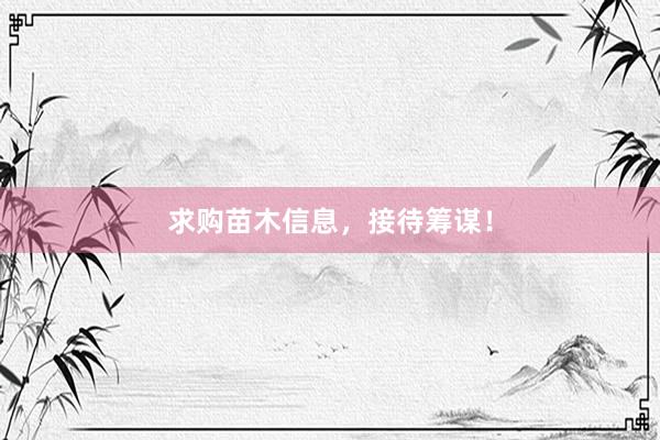 求购苗木信息，接待筹谋！